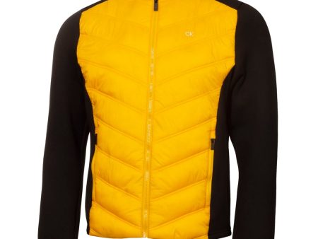 Calvin Klein Frontera Hybrid Jacket - Mustard Black Online now